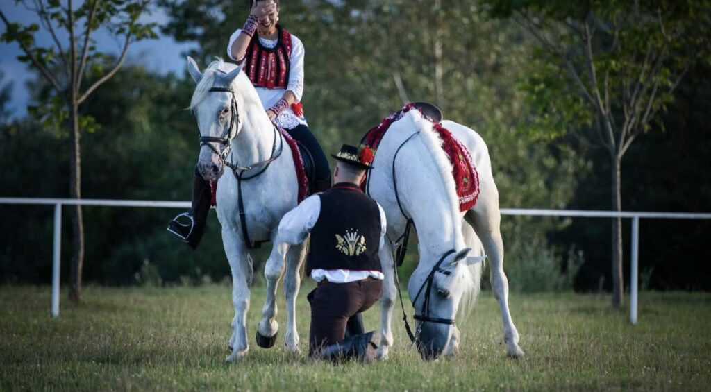 Foto: Tihomir Dragunić 